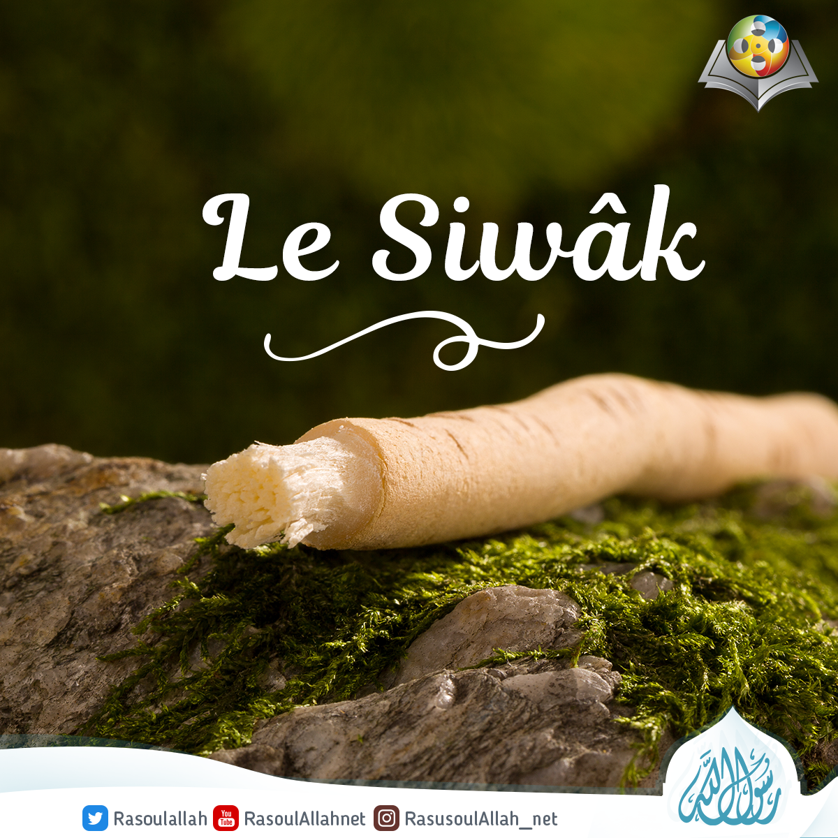 Le Siwâk