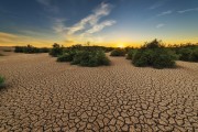 "Dis : « Parcourez la terre pour voir comment Il a initié..."