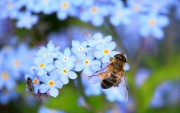 Allah vous a fait sortir des ventres de vos mères, dépourvus de toute science.