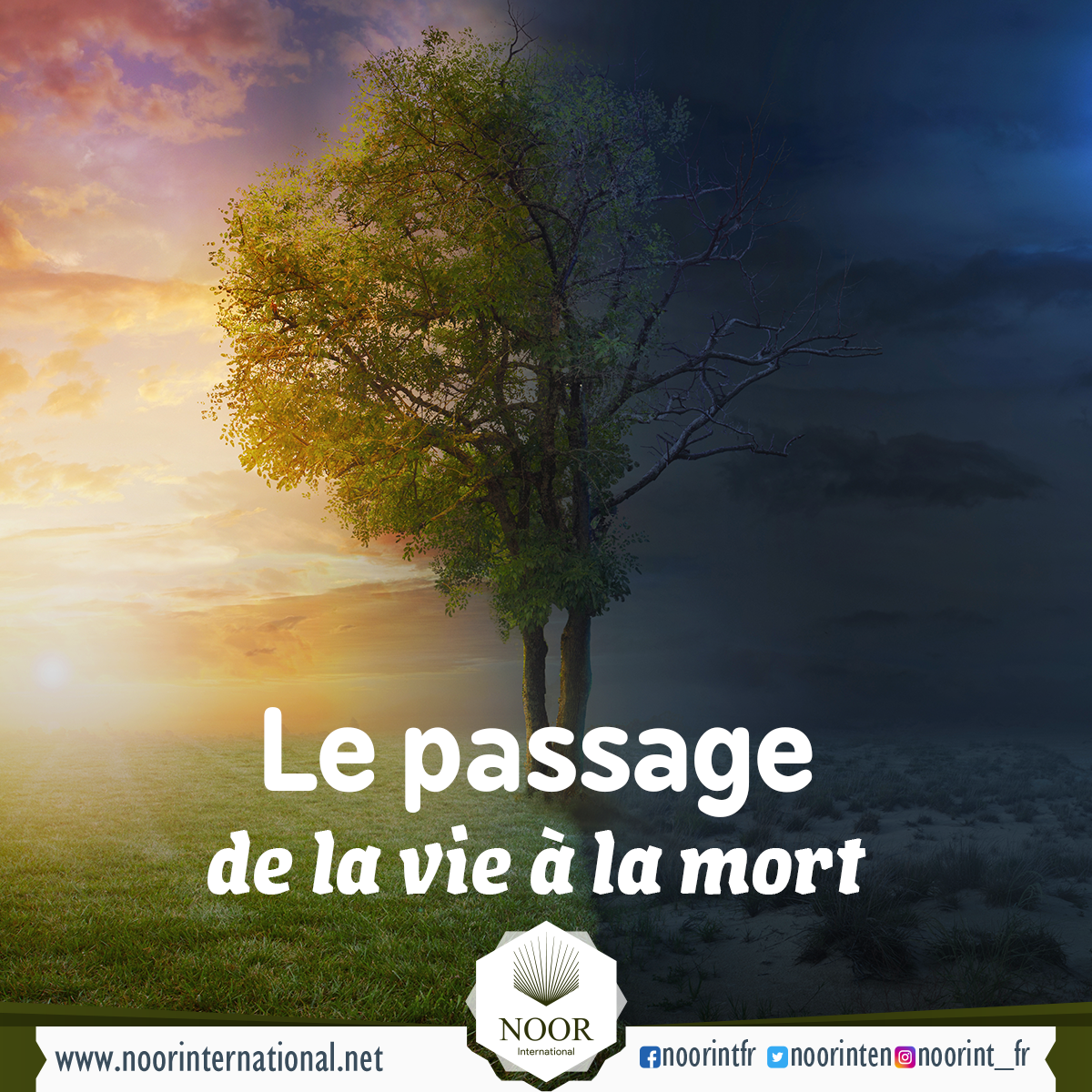 Le passage de la vie à la mort