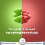 The real life of the heart lies in the obedience of Allah