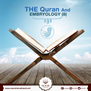 THE Quran And EMBRYOLOGY ( 8 )