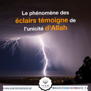 Le phénomène des éclairs témoigne de l’unicité d’Allah