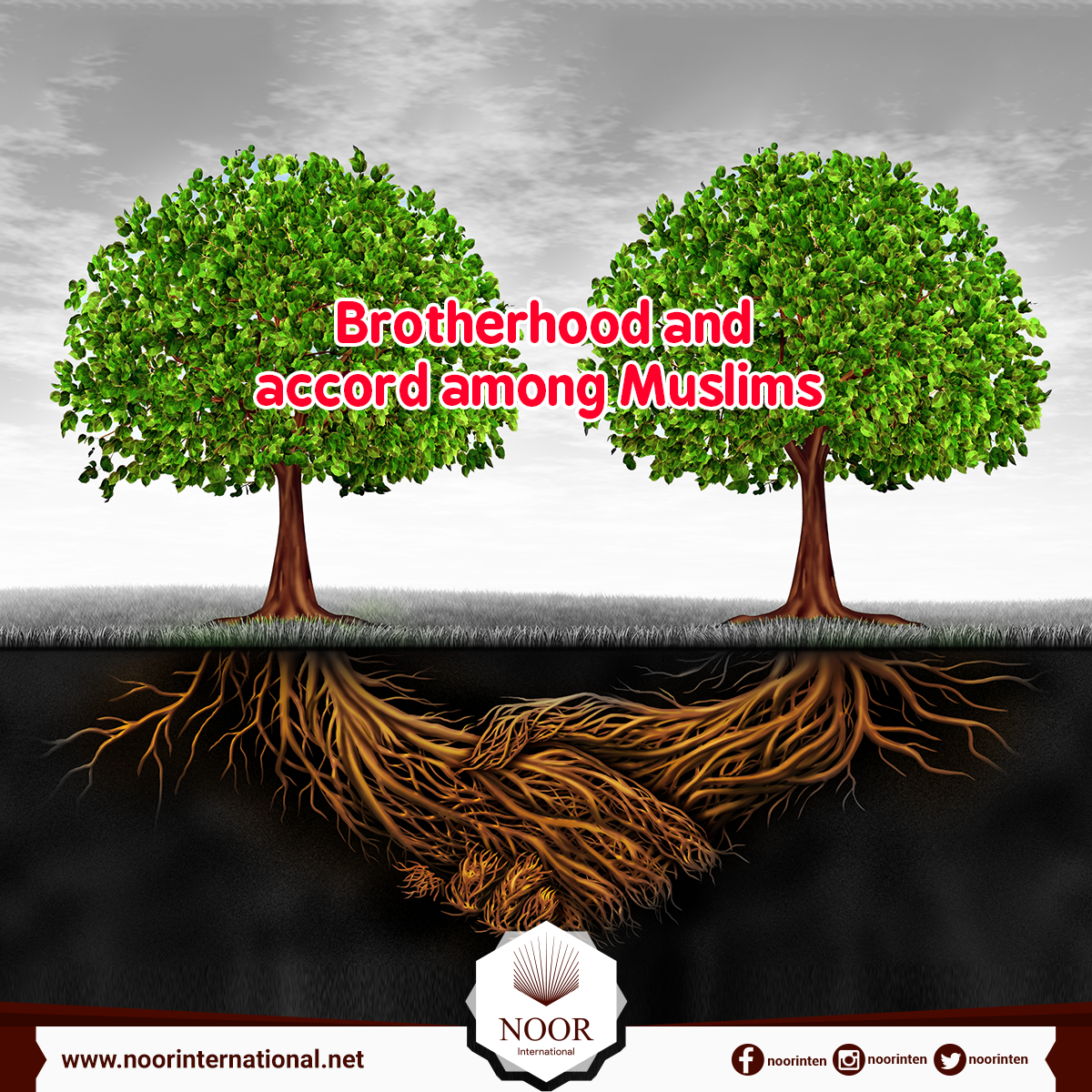 Brotherhood and accord among Muslims