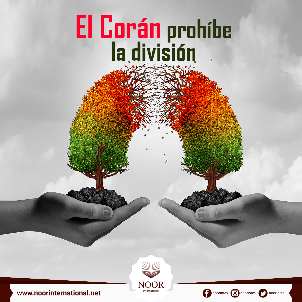 El Corán prohíbe la división