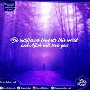 Be indifferent towards this world, and Allah will love you