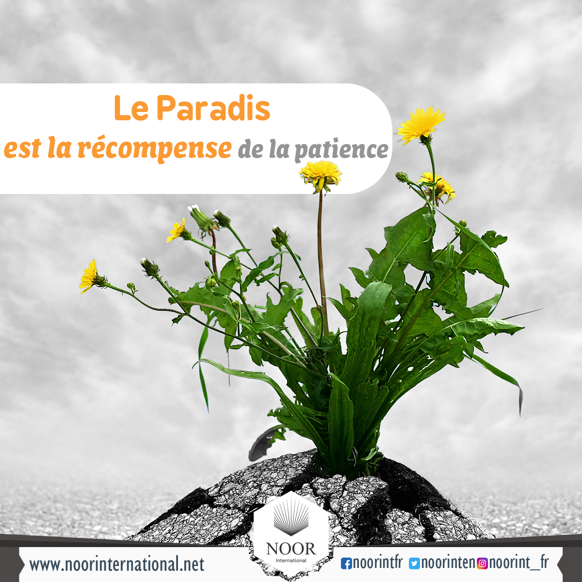 Le Paradis est la récompense de la patience