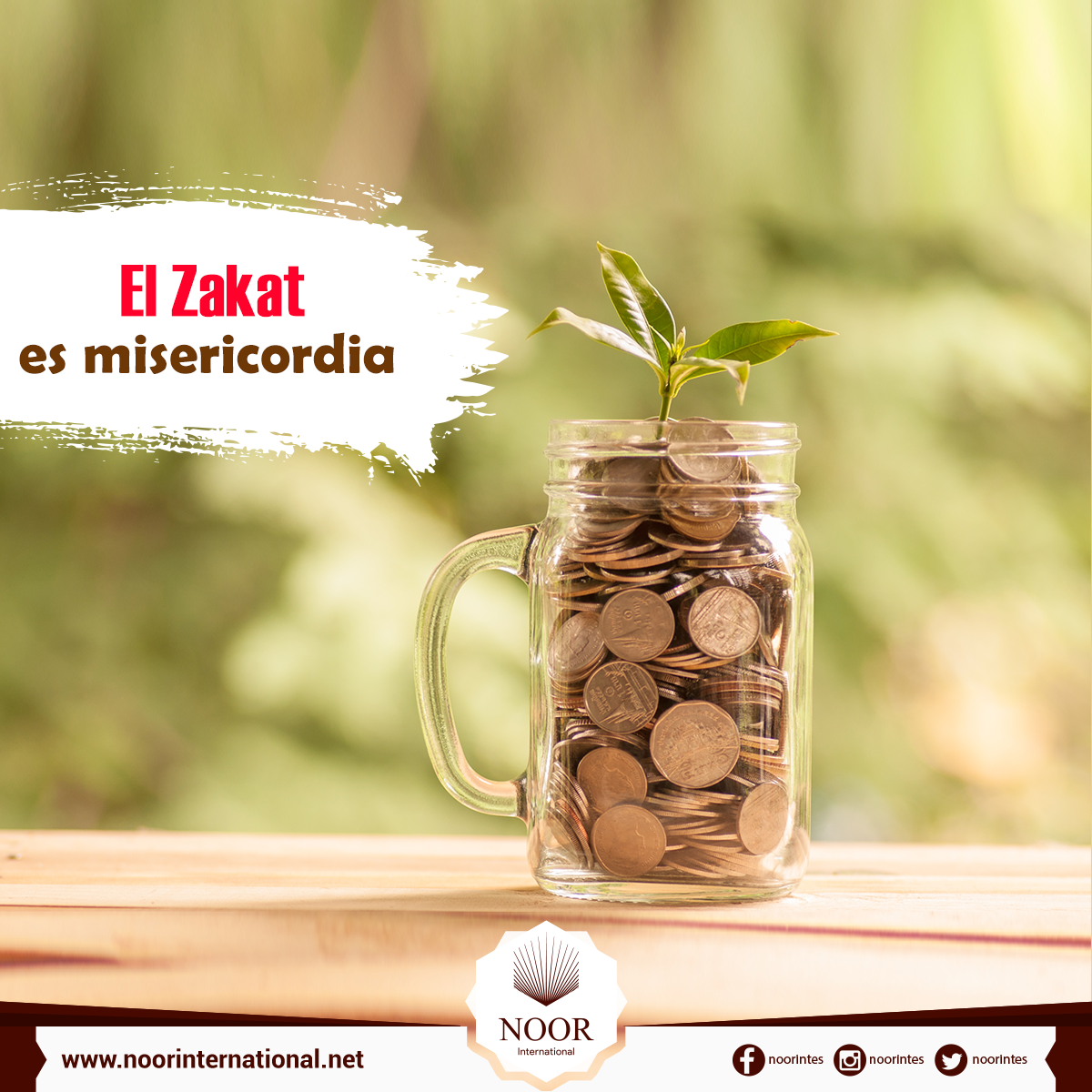 El Zakat es misericordia