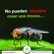 No pueden siquiera crear una mosca…