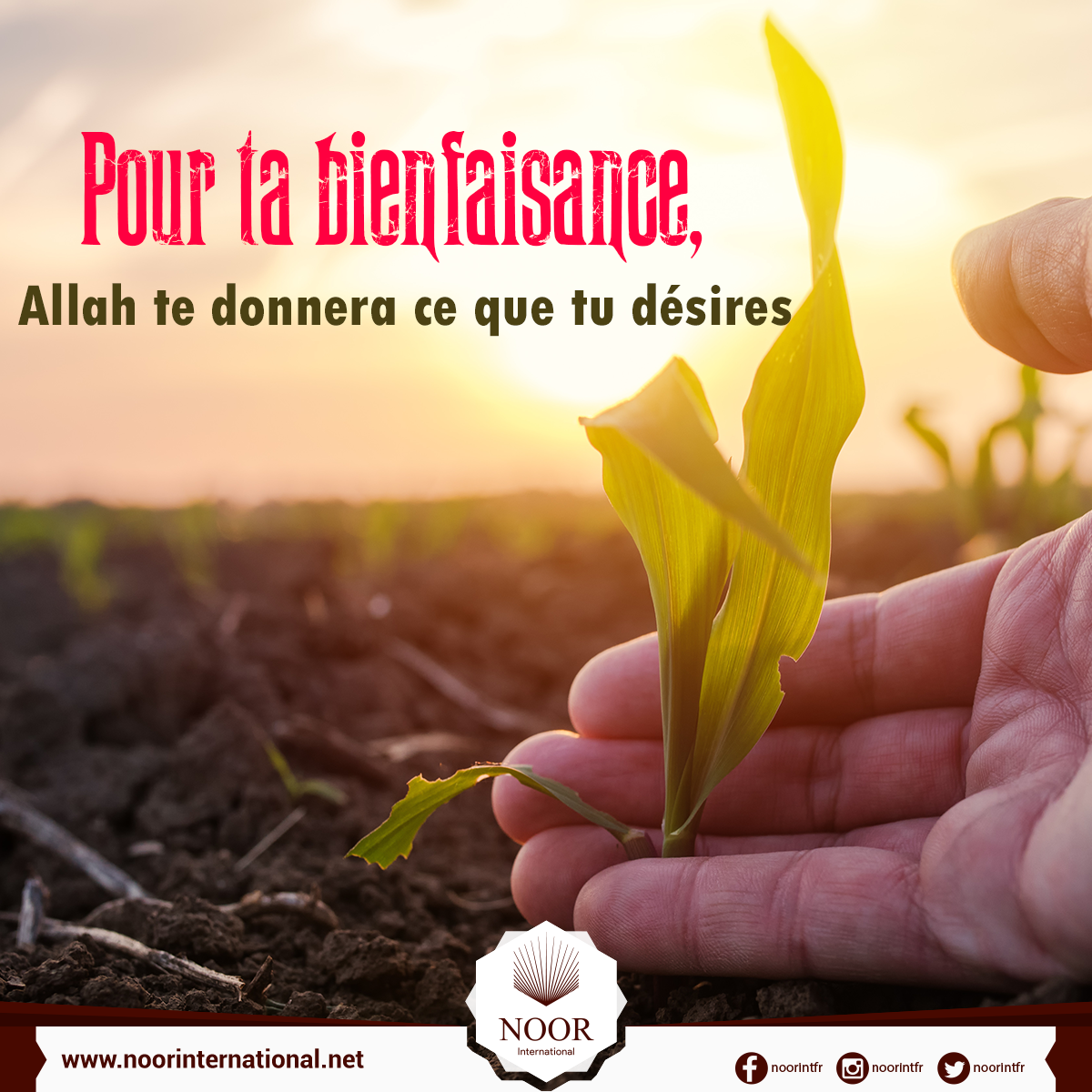 Pour ta bienfaisance, Allah te donnera ce que tu désires