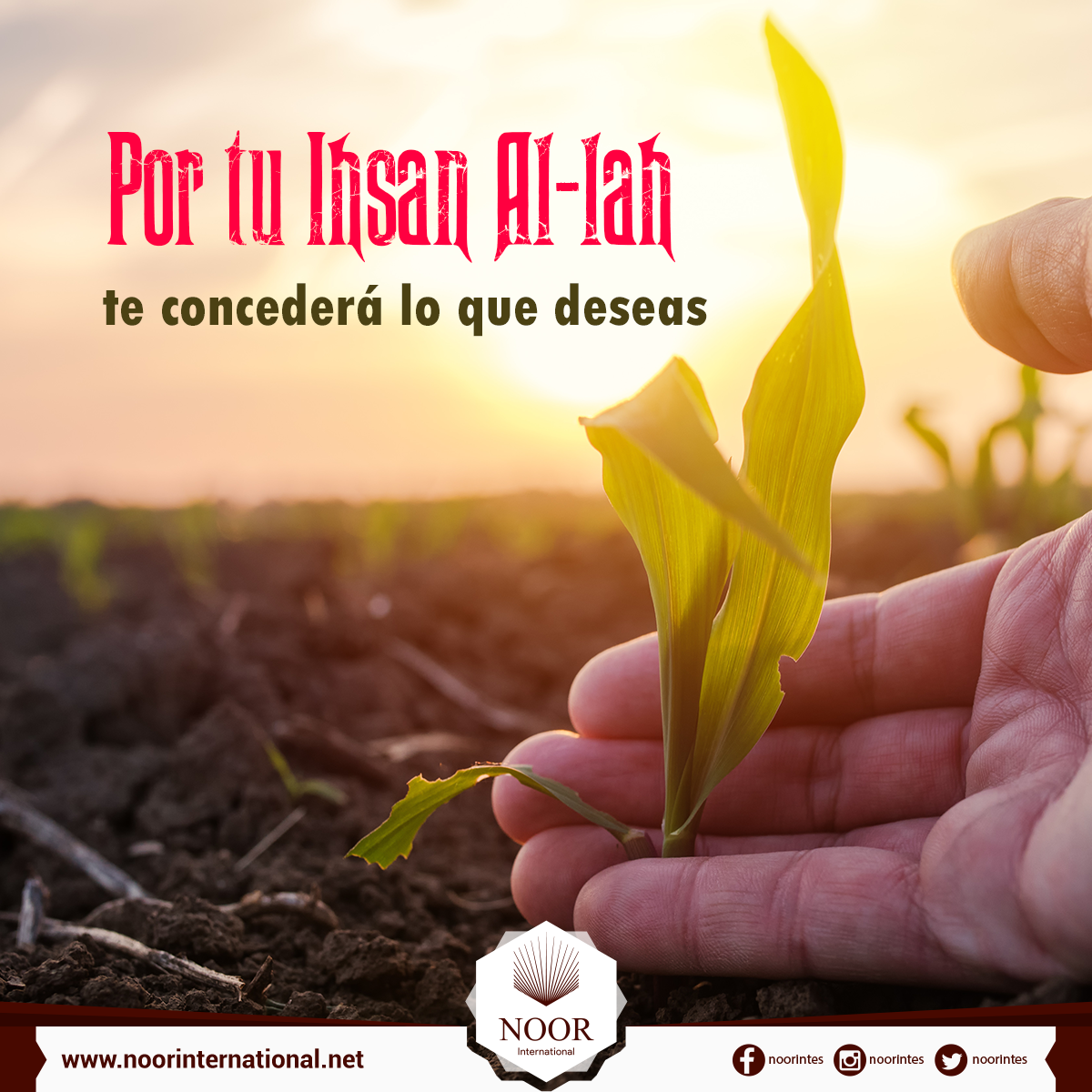 Por tu Ihsan Al-lah te concederá lo que deseas