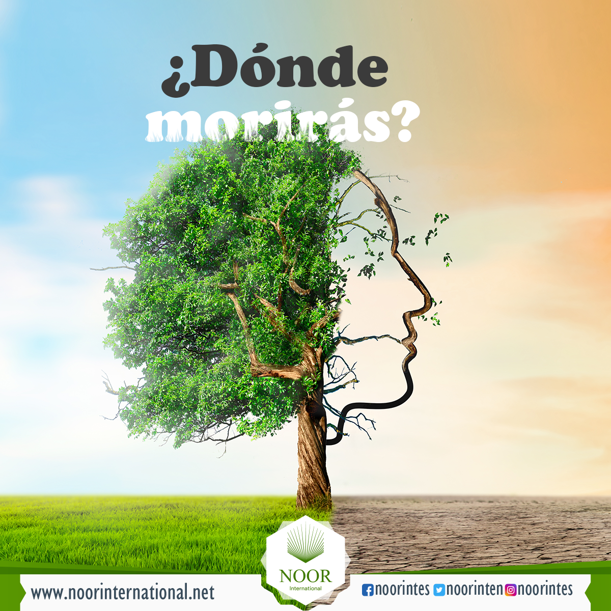 ¿Dónde morirás?