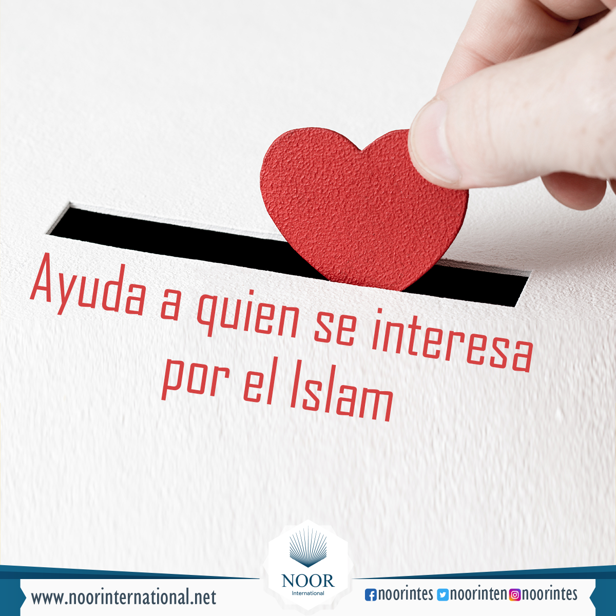 Ayuda a quien se interesa por el Islam