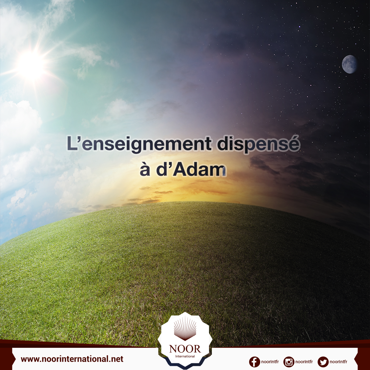 L’enseignement dispensé à d’Adam