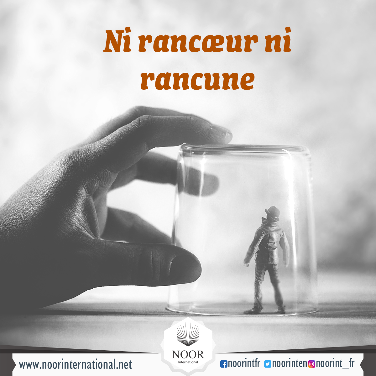 Ni rancœur ni rancune