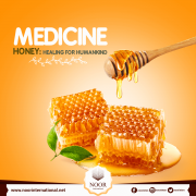 MEDICINE HONEY: HEALING FOR HUMANKIND