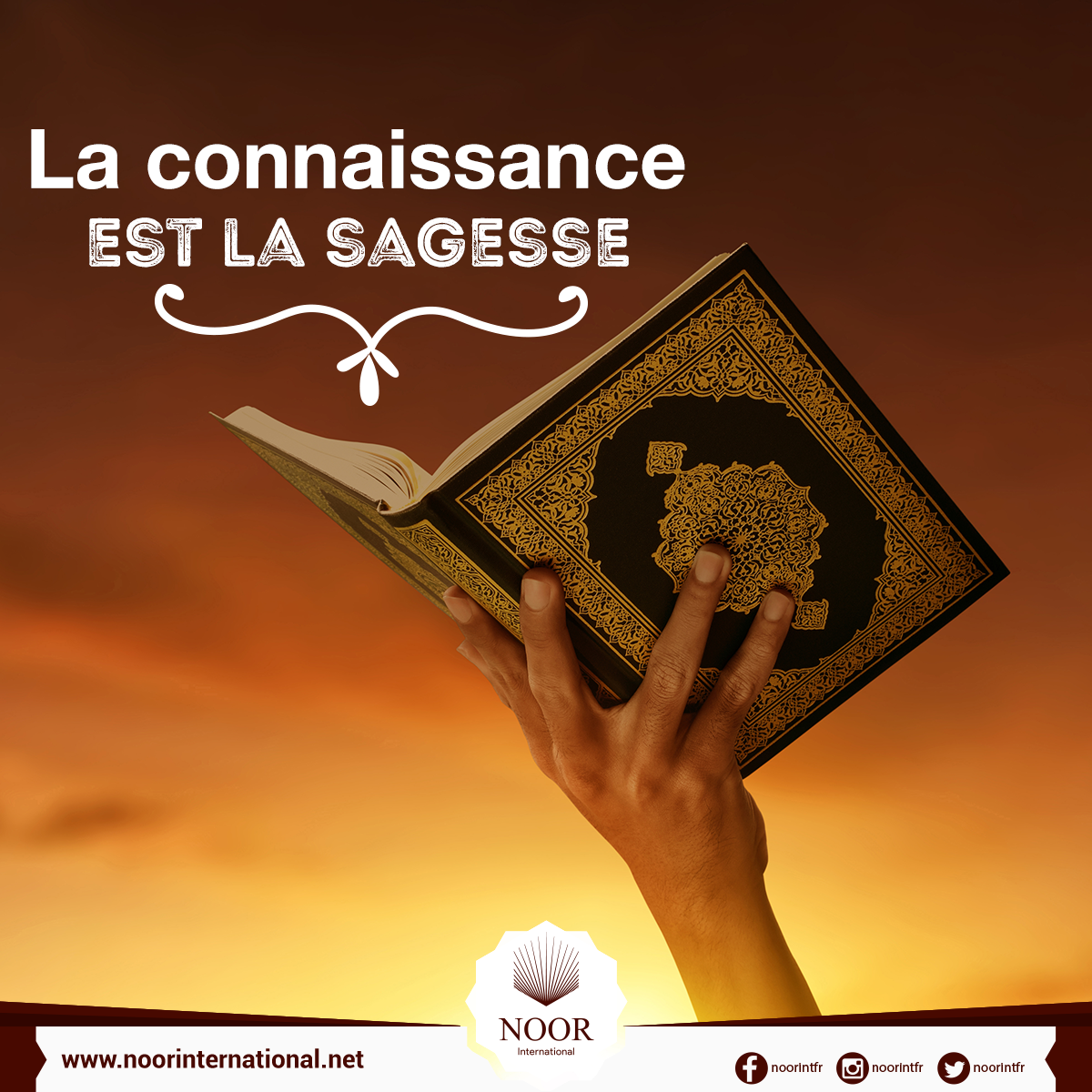 La connaissance est la sagesse