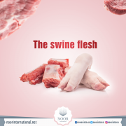 The swine flesh