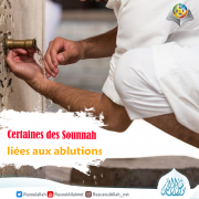 Certaines des Sounnah liées aux ablutions