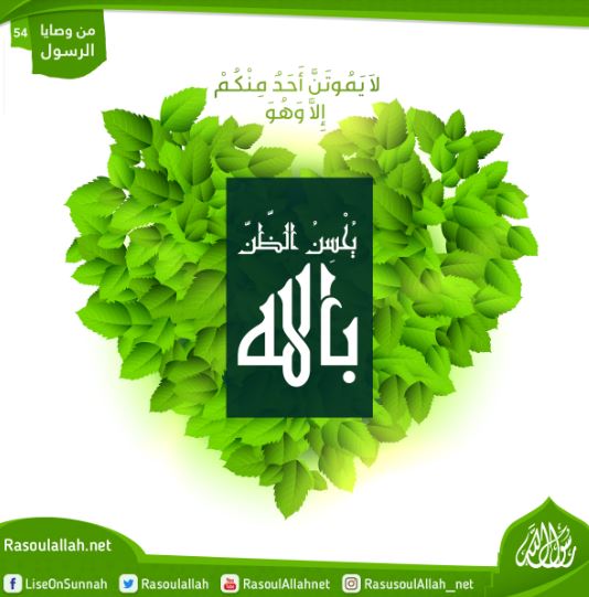 لَا يَمُوتُن أَحَدُكُمْ إِلَّا وَهُوَ يُحْسِنُ الظَّنَّ بِاللَّهِ