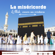 La miséricorde d'Allah  envers ses créatures