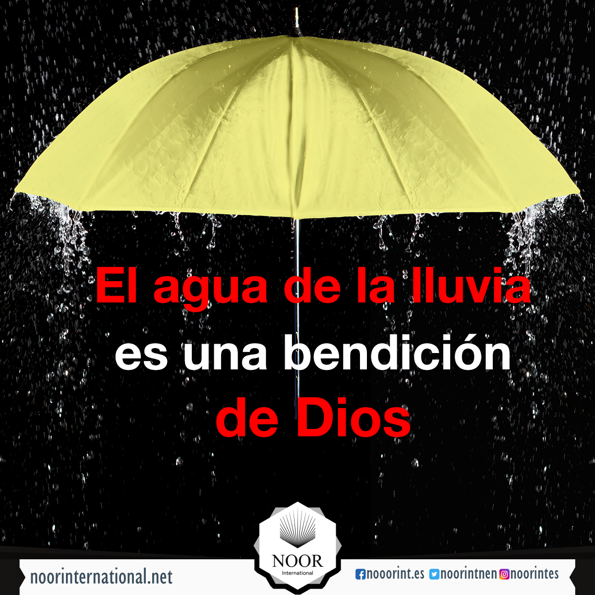 El agua de la lluvia es una bendición de Dios