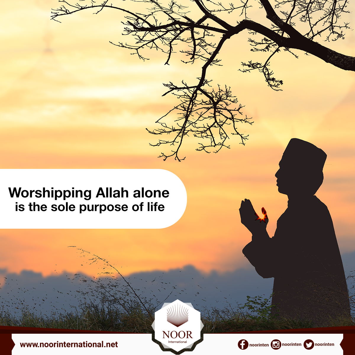 Worshipping Allah alone is the sole purpose of life