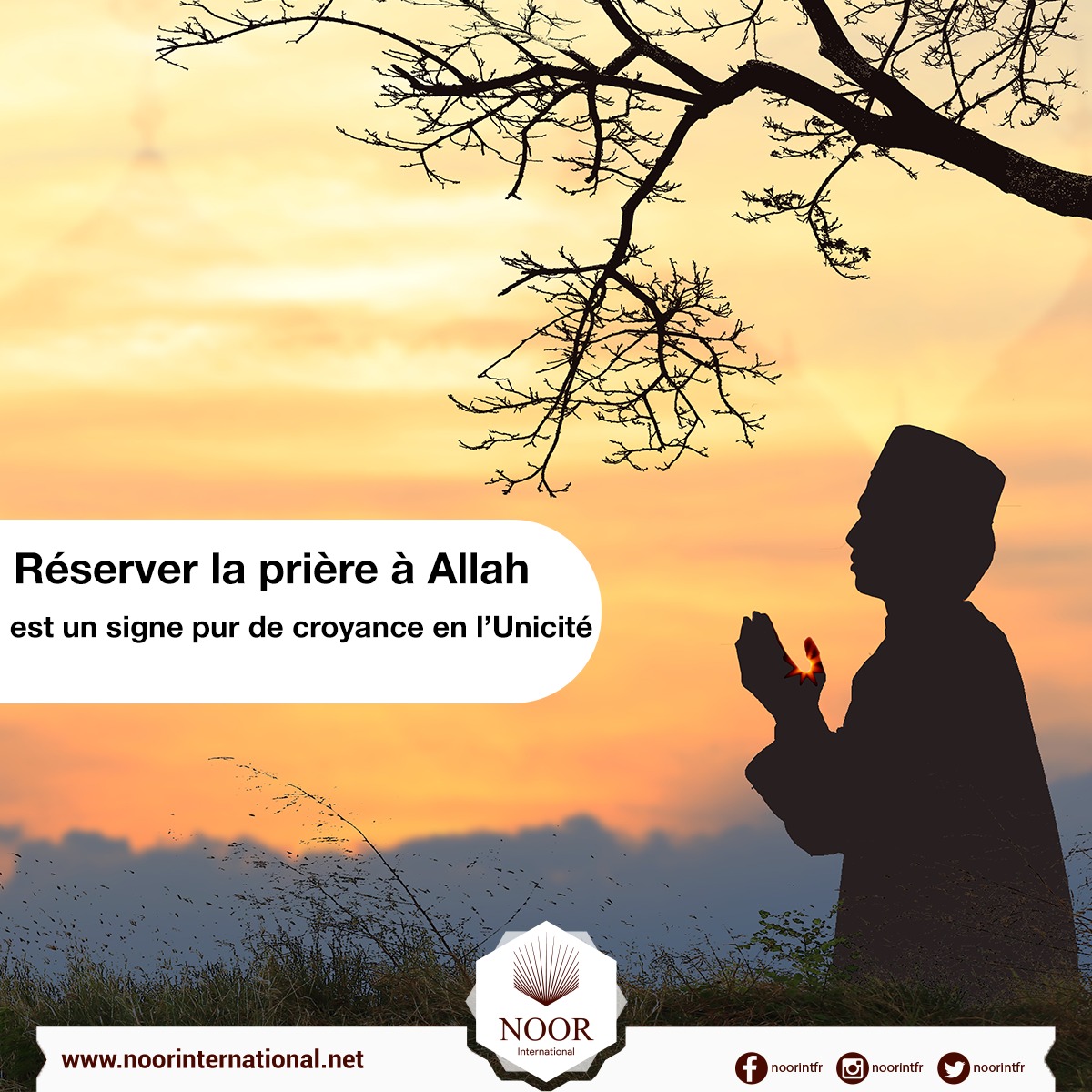 Réserver la prière à Allah est un signe pur de croyance en l’unicité