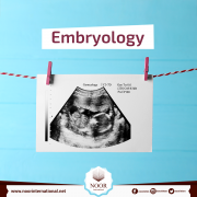 Embryology