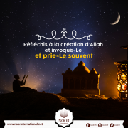 Réfléchis à la création d’Allah et invoque-Le et prie-Le souvent