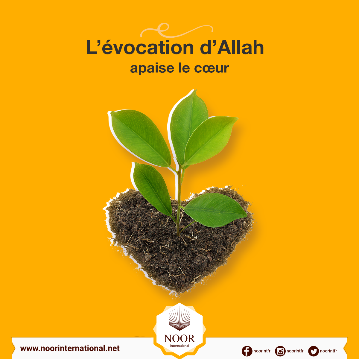 L’évocation d’Allah apaise le cœur