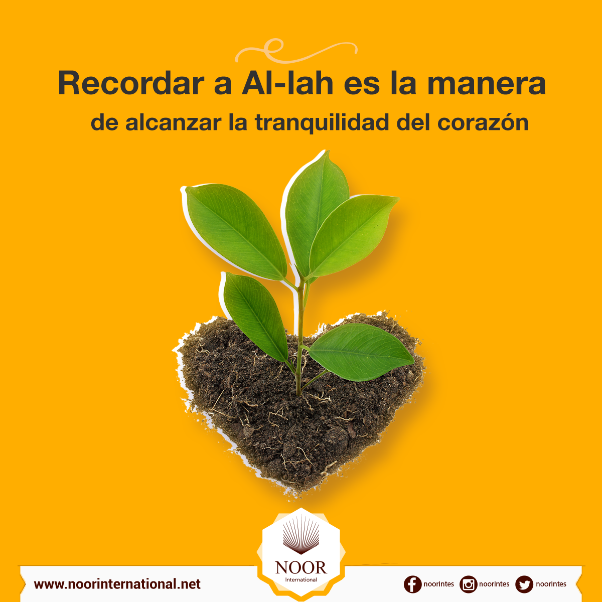 Recordar a Al-lah es la manera de alcanzar la tranquilidad del corazón