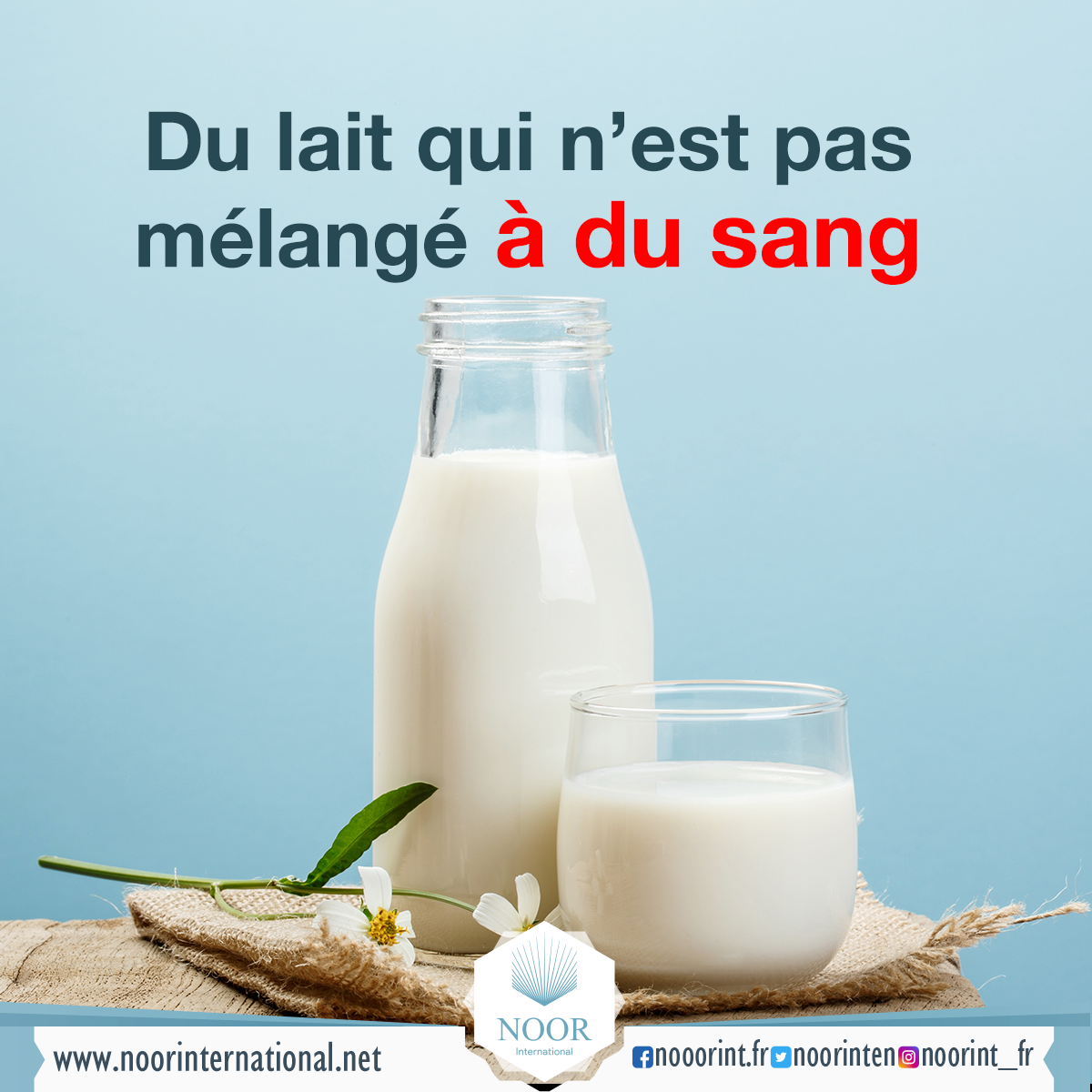 Du lait qui n’est pas mélangé à du sang