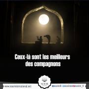 Ceux-là sont les meilleurs des compagnons