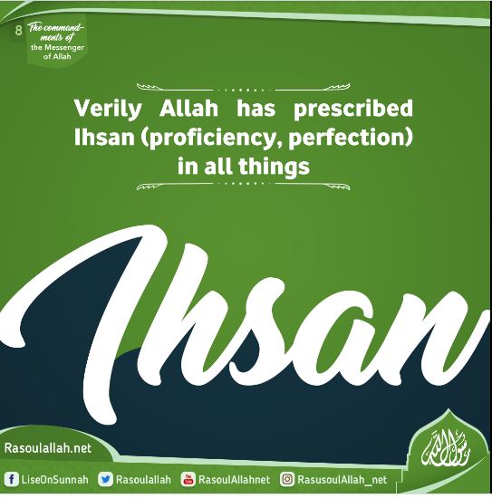 Verily Allah has prescribed Ihsan (proficiency, perfection) in all things