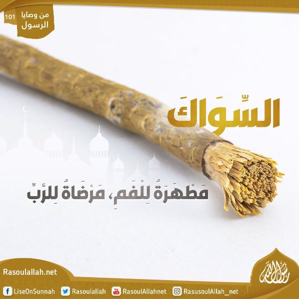 السِّوَاكَ مَطْهَرَةٌ لِلْفَمِ، مَرْضَاةٌ لِلرَّبِّ