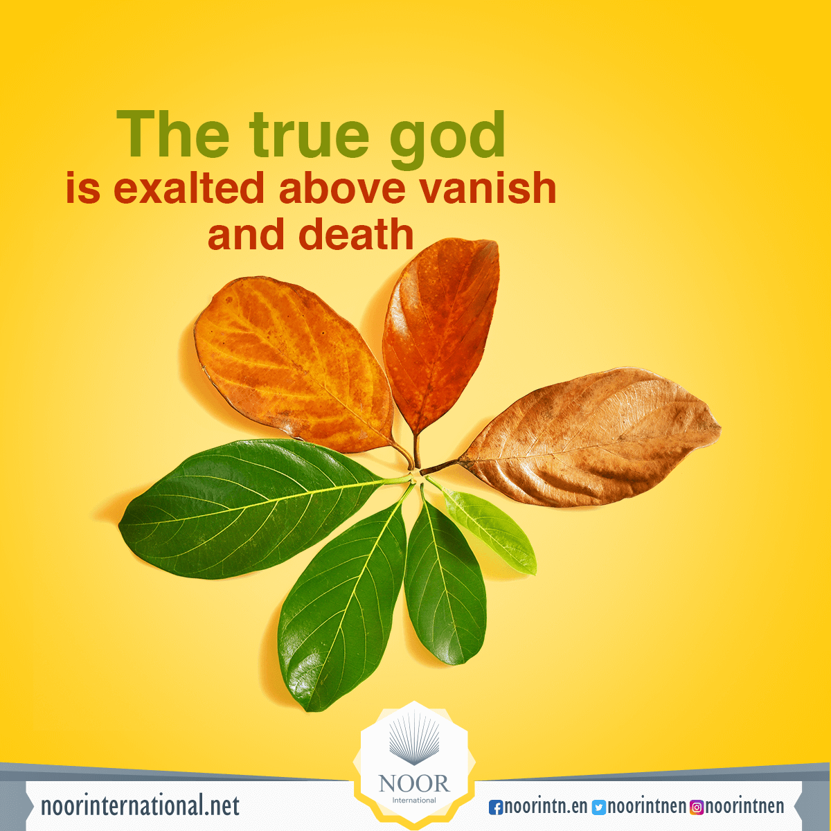 The true god is exalted above vanish and death