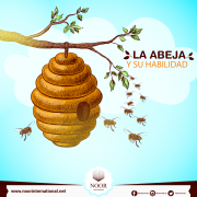 La abeja y su habilidad