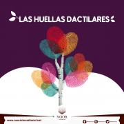 Las huellas dactilares