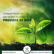 Cualquier bendición que reciben las criaturas proviene de Dios