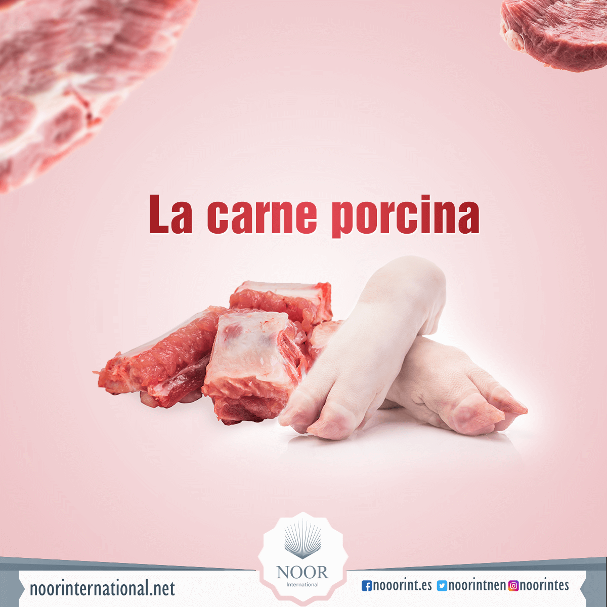 La carne porcina