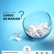 ¿Quién se hará cargo de Mariam?