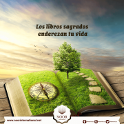 Los libros sagrados enderezan tu vida