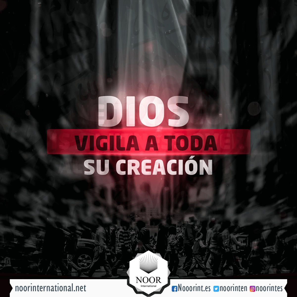 Dios vigila a toda Su creación