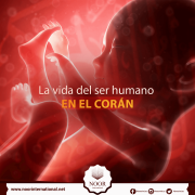 La vida del ser humano en el Corán