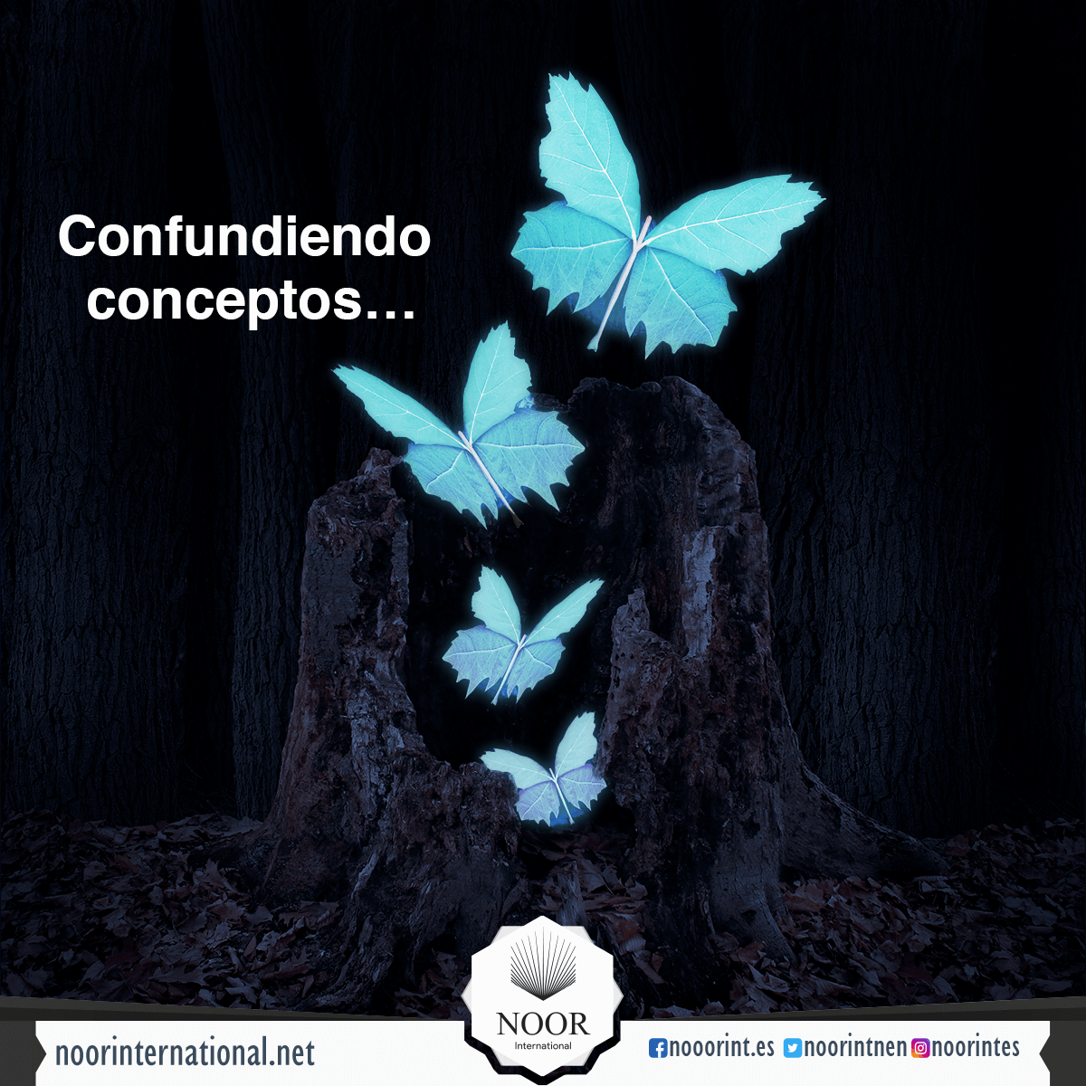 Confundiendo conceptos…