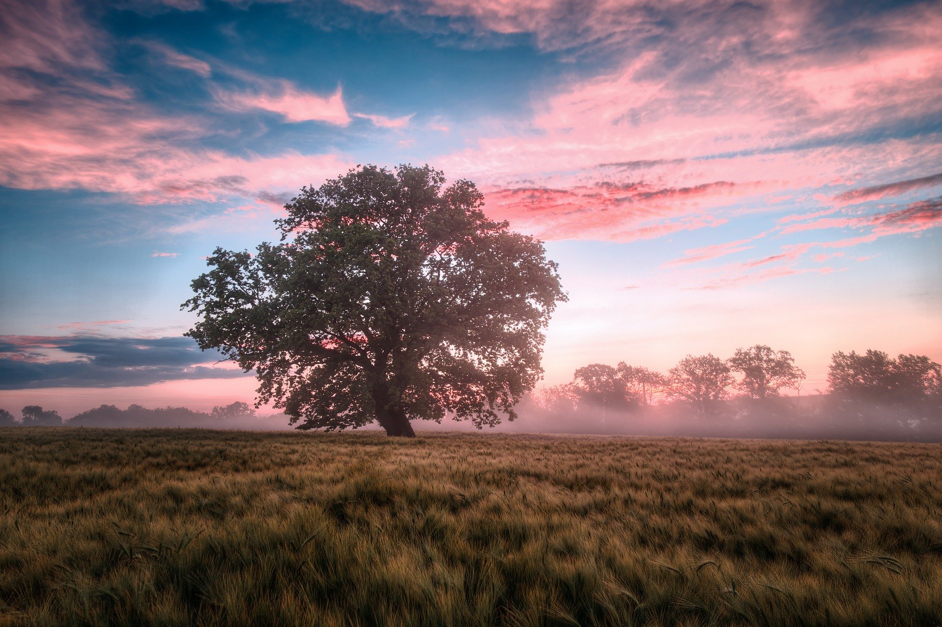 The Quran And The Last Day