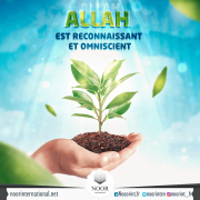 Allah est Reconnaissant et Omniscient