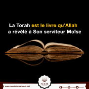 La Torah est le livre qu’Allah a révélé à Son serviteur Moïse