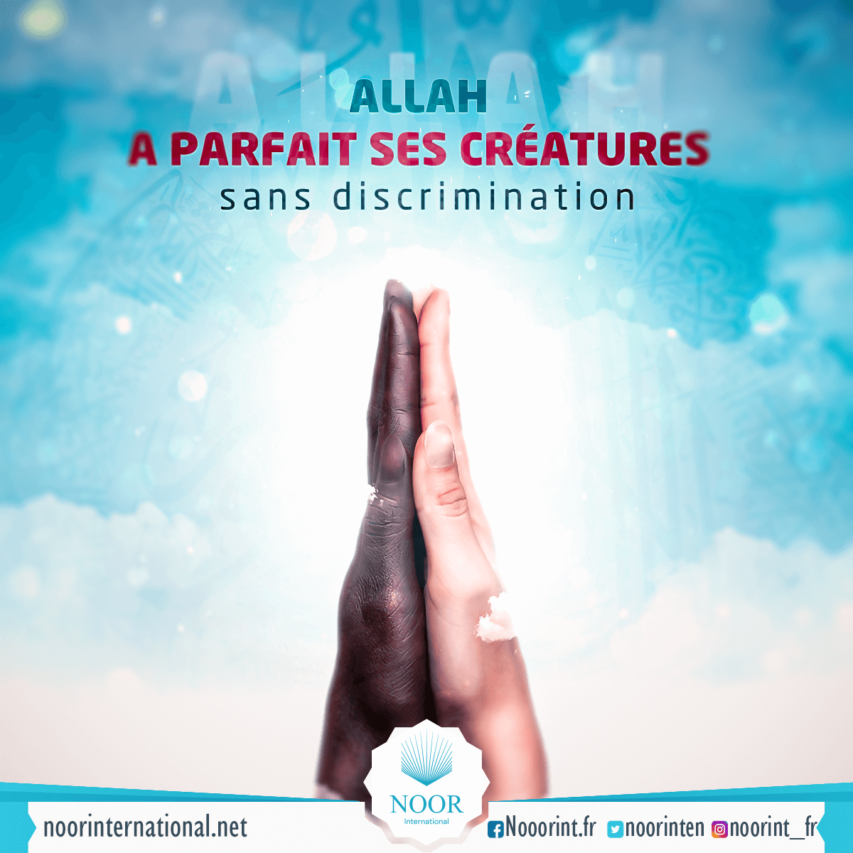 Allah a parfait Ses créatures sans discrimination